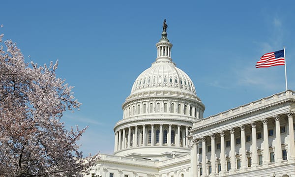 nyfi-news - The Dome of the Capitol Building in Washington DC with Flag Flying High